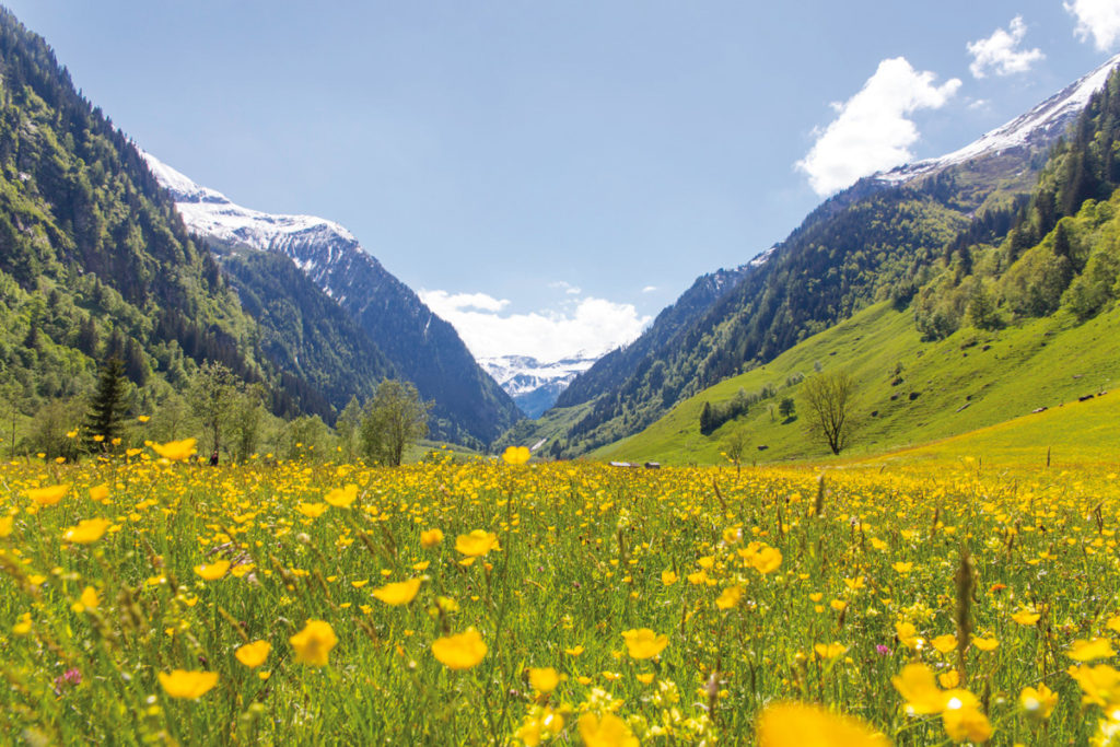 Raurisertal_Seidlwinkltal(c)TVB Foto Florian Bachmeier 1200x800